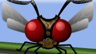 GIMP 2.8 Insect
