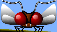 Inkscape Insect